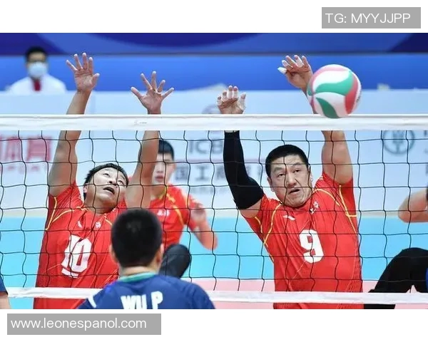 与刘磊畅谈排球生涯的点滴与成长历程